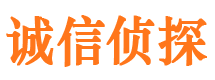 河东区诚信私家侦探公司